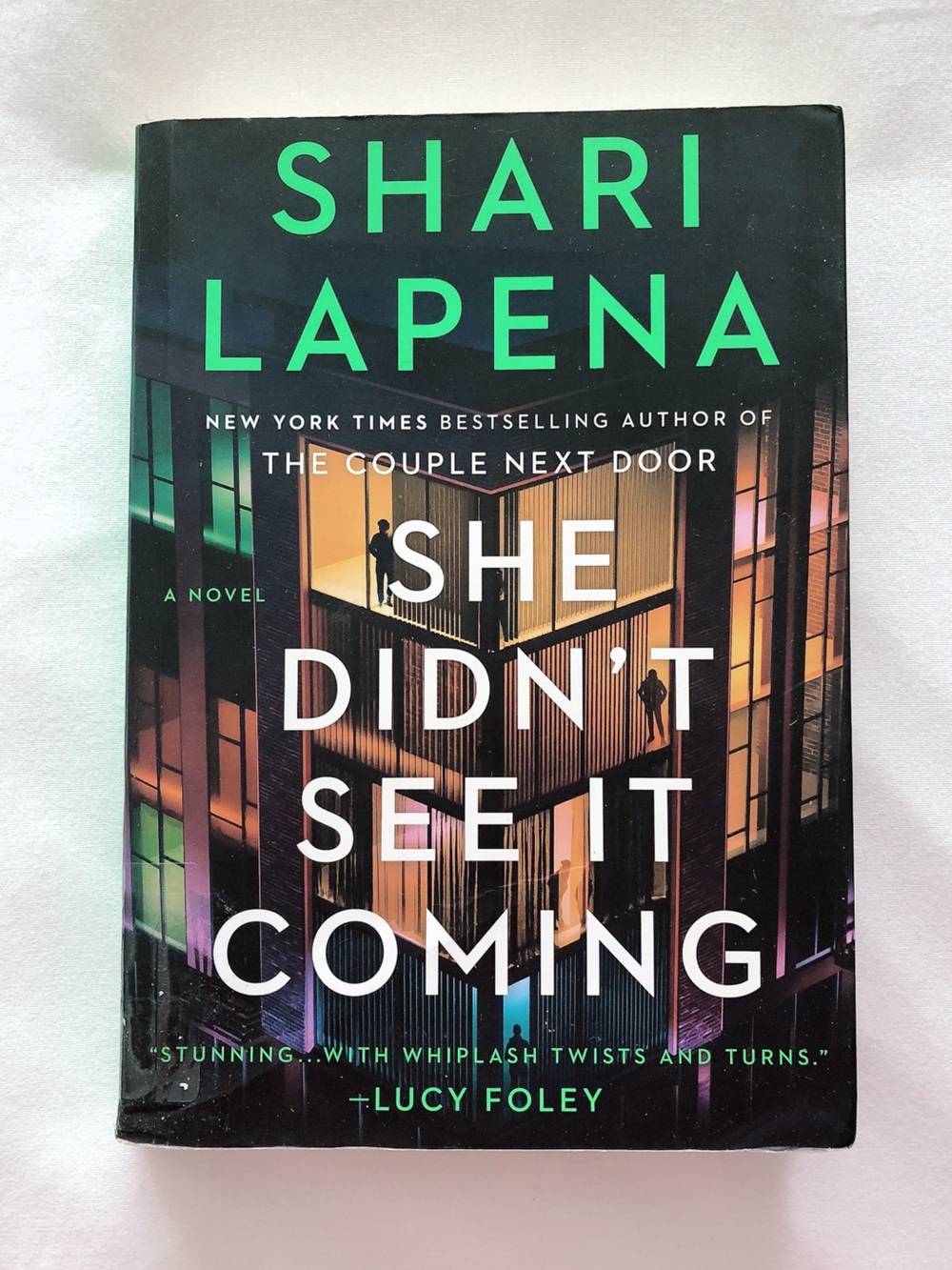 She Didn't See It Coming by Shari Lapena Paperback novel